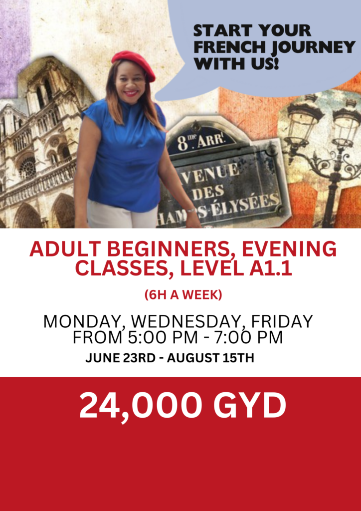 Copy of Copy of Flyer Adult Beginners 6H_20250612_111429_0000