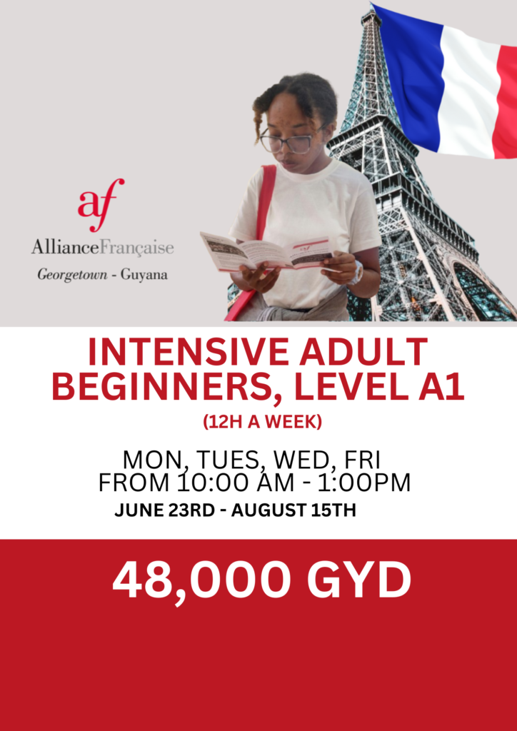 Copy of Flyer Adult Beginners 6H_20250610_165008_0000
